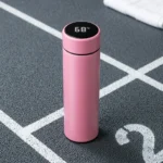 Temperature Water Bottle
